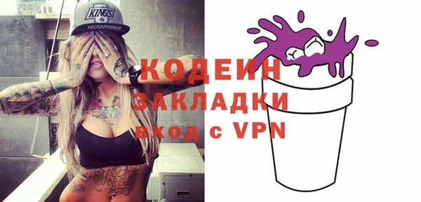 молекула духа Ельня