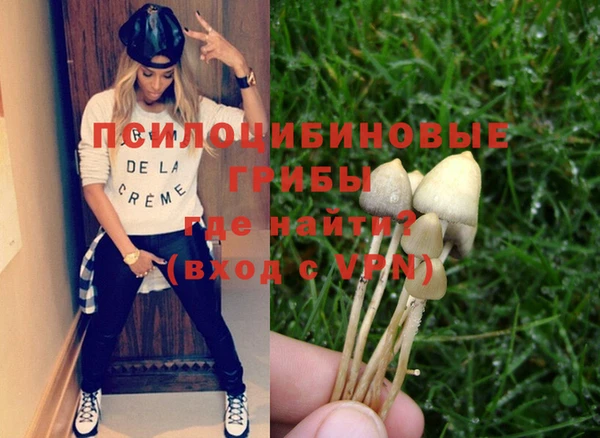 молекула духа Ельня