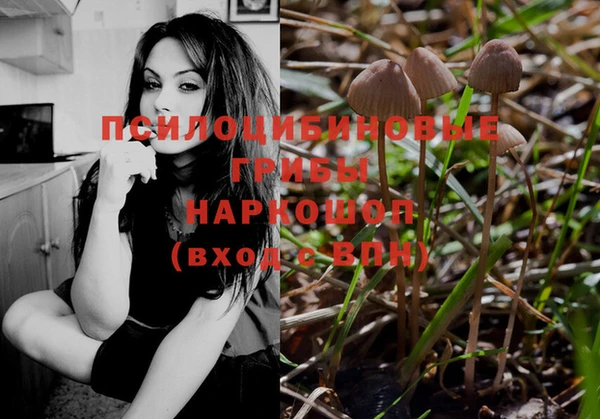 марки lsd Елизово