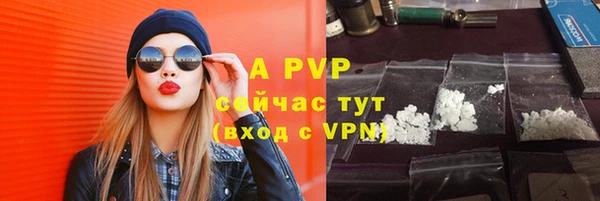 молекула духа Ельня