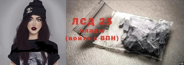 молекула духа Ельня