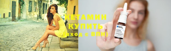 молекула духа Ельня