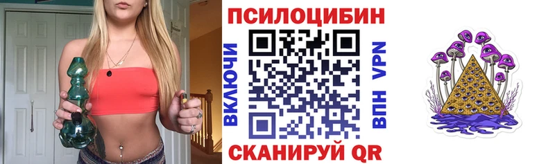 что такое   OMG онион  Псилоцибиновые грибы мицелий  Новочебоксарск 
