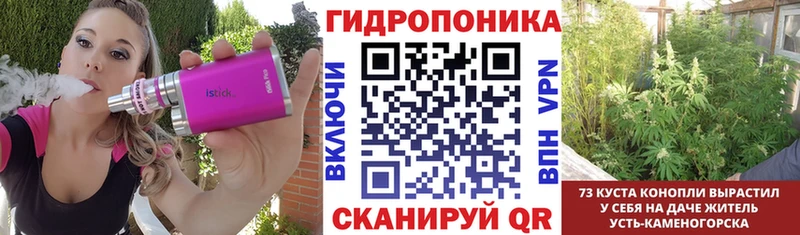 где продают наркотики  omg ONION  Бошки Шишки гибрид  Новочебоксарск 